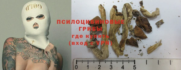 дурь Бежецк
