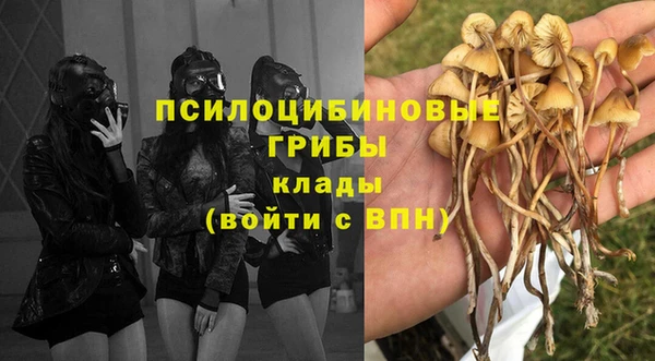 mdma Нязепетровск