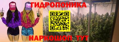 гашик Дубна