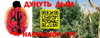 гашик Дубна