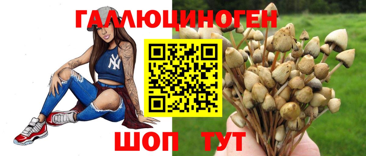 Псилоцибиновые грибы Magic Shrooms Курчатов