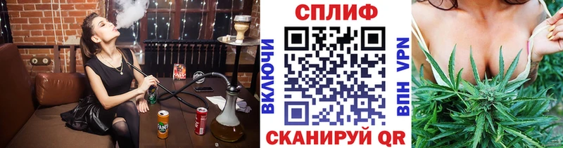 наркотики  Курчатов  Канабис индика 